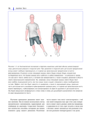 Функциональная анатомия движения. Руководство по анализу биомеханики и работе с миофасциальными меридианами — фото, картинка — 14