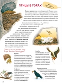 Книга о птицах — фото, картинка — 2