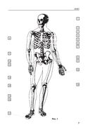 Анатомия человека. Компактный атлас-раскраска — фото, картинка — 5