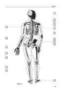 Анатомия человека. Компактный атлас-раскраска — фото, картинка — 7