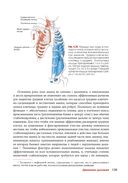 Анатомия йоги. Новейшая редакция — фото, картинка — 11