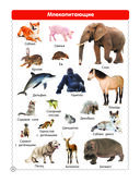 Первая иллюстрированная энциклопедия для детей — фото, картинка — 4