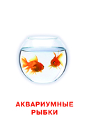 Развивающие карточки Домана. 0-3 лет — фото, картинка — 6