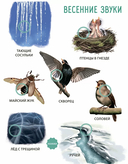 50 звуков. Мир вокруг меня — фото, картинка — 3