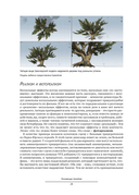 Визуальные эффекты: взгляд изнутри — фото, картинка — 21