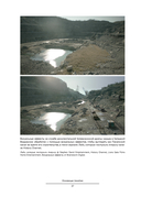 Визуальные эффекты: взгляд изнутри — фото, картинка — 29