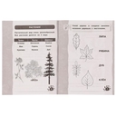 Рабочая тетрадь дошкольника. Окружающий мир. Учимся наблюдать природу — фото, картинка — 2