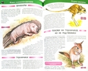 Большая детская энциклопедия животных — фото, картинка — 1