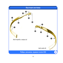 Анатомия человека. Компактный атлас. Опорно-двигательный аппарат — фото, картинка — 13