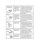Зарядка для мозга. Простые упражнения для улучшения памяти и внимания в любом возрасте — фото, картинка — 13