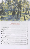 Рассказы о природе — фото, картинка — 1