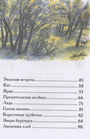 Рассказы о природе — фото, картинка — 2