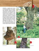 Резьба по дереву. Практическое руководство по художественной обработке капов, сувелей и древесины твердых сортов — фото, картинка — 7