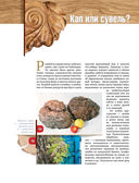 Резьба по дереву. Практическое руководство по художественной обработке капов, сувелей и древесины твердых сортов — фото, картинка — 10