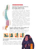 Человек. Исследуем тело и мозг человека — фото, картинка — 20