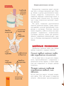 Человек. Исследуем тело и мозг человека — фото, картинка — 21