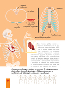 Человек. Исследуем тело и мозг человека — фото, картинка — 23