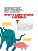 Человек. Исследуем тело и мозг человека — фото, картинка — 13