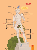 Человек. Исследуем тело и мозг человека — фото, картинка — 14