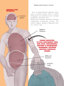 Человек. Исследуем тело и мозг человека — фото, картинка — 15