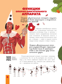 Человек. Исследуем тело и мозг человека — фото, картинка — 17