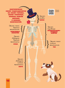 Человек. Исследуем тело и мозг человека — фото, картинка — 19