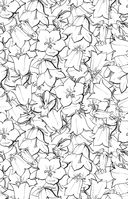 Зачарованный сад. Мини-раскраска-антистресс для творчества и вдохновения — фото, картинка — 17