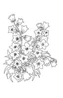 Зачарованный сад. Мини-раскраска-антистресс для творчества и вдохновения — фото, картинка — 18