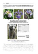 Вероятностное машинное обучение — фото, картинка — 33