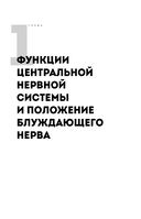 Разбуди блуждающий нерв. Как активировать скрытый механизм самоисцеления тела и разума — фото, картинка — 11