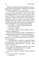 Дама с собачкой — фото, картинка — 23