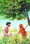 Библия для начинающих — фото, картинка — 8