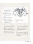 Искусство Круглой Кокетки. Универсальная техника вязания — фото, картинка — 14