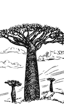 Сильвия — фото, картинка — 1