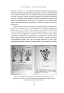 Незападная история науки. Открытия, о которых мы не знали — фото, картинка — 31