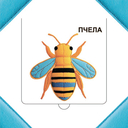 Кто прячется в траве? — фото, картинка — 2