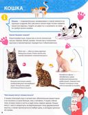 Всё о домашних питомцах малышам — фото, картинка — 2