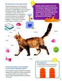 Всё о домашних питомцах малышам — фото, картинка — 3