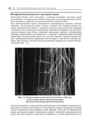 Использование Docker — фото, картинка — 17