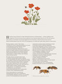 Пчеловодство. Большая иллюстрированная энциклопедия — фото, картинка — 8