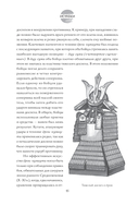 Японские боевые искусства. Рукопашный бой. История и современность — фото, картинка — 14