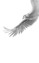 Энергик. Тайны Академии 