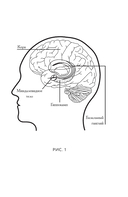 От Дзена до Нейрона — фото, картинка — 11