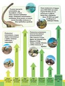 Энциклопедия динозавров и самых необычных доисторических животных — фото, картинка — 11