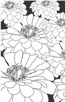 Мандалы. Мини-раскраска-антистресс для творчества и вдохновения — фото, картинка — 12