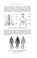 Время быть мамой. Авторская методика естественного повышения фертильности — фото, картинка — 48