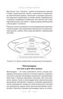 Время быть мамой. Авторская методика естественного повышения фертильности — фото, картинка — 56