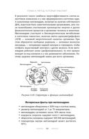 Время быть мамой. Авторская методика естественного повышения фертильности — фото, картинка — 57