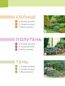 Цветники. 95 простых композиций для любого уголка сада — фото, картинка — 2