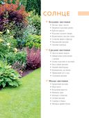 Цветники. 95 простых композиций для любого уголка сада — фото, картинка — 7